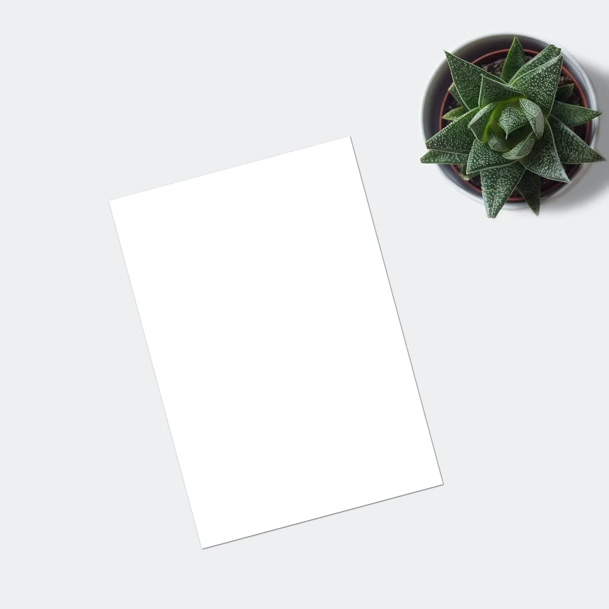 How to Create a Standout Design Portfolio in 7 Days